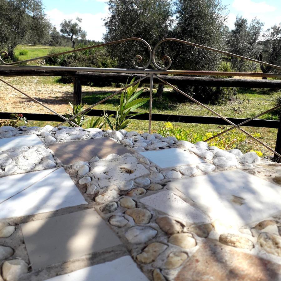 Agriturismo Poggio Falco Batignano 外观 照片