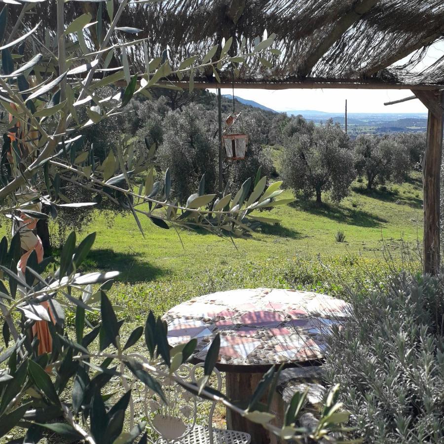 Agriturismo Poggio Falco Batignano 外观 照片