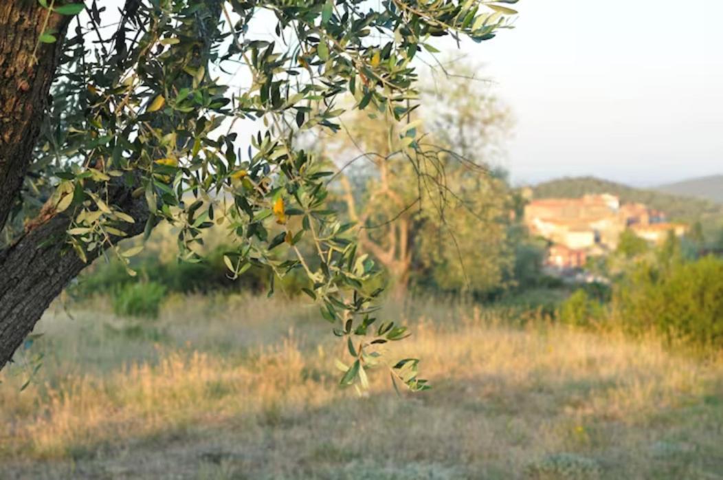 Agriturismo Poggio Falco Batignano 外观 照片