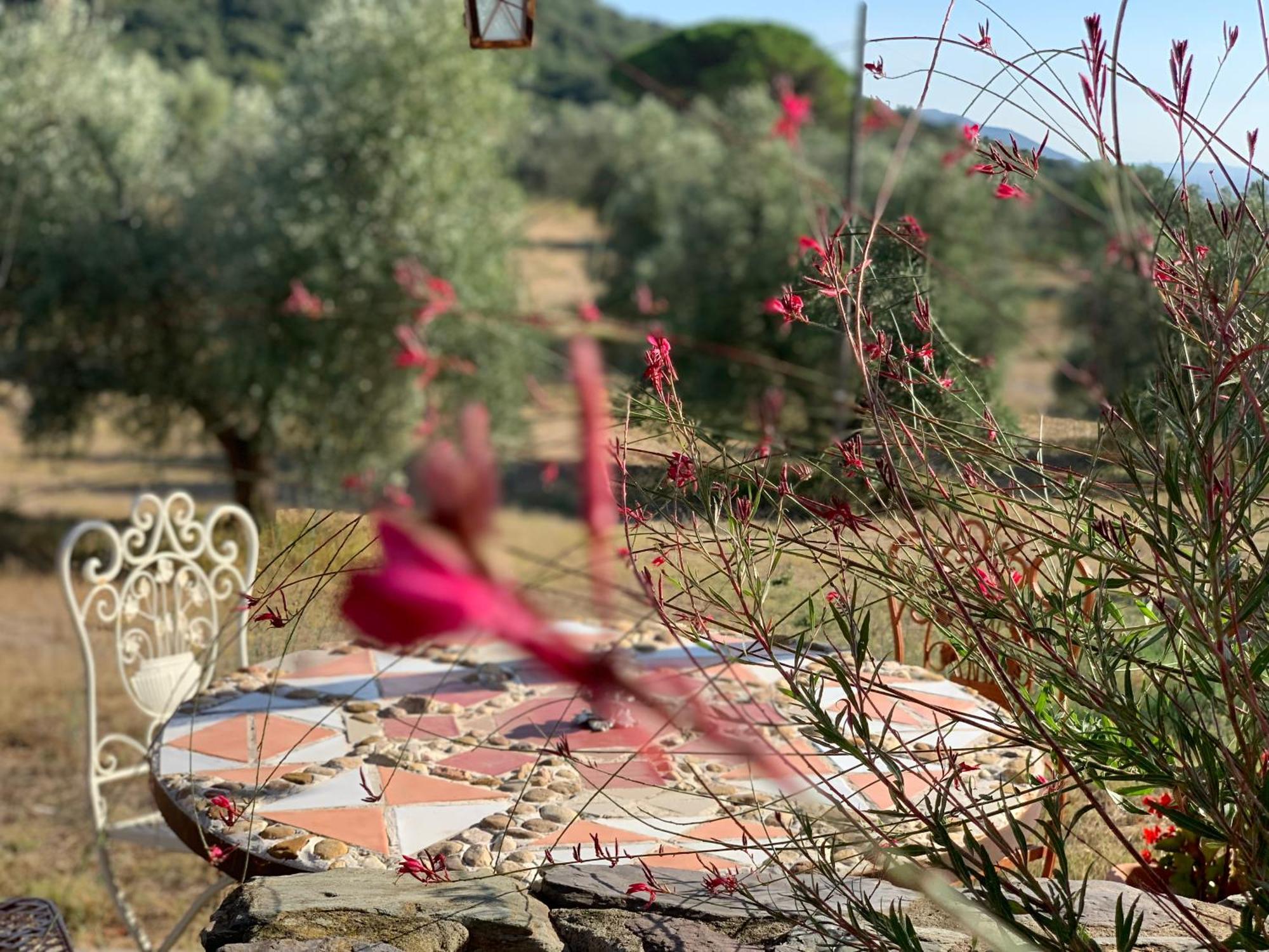 Agriturismo Poggio Falco Batignano 外观 照片