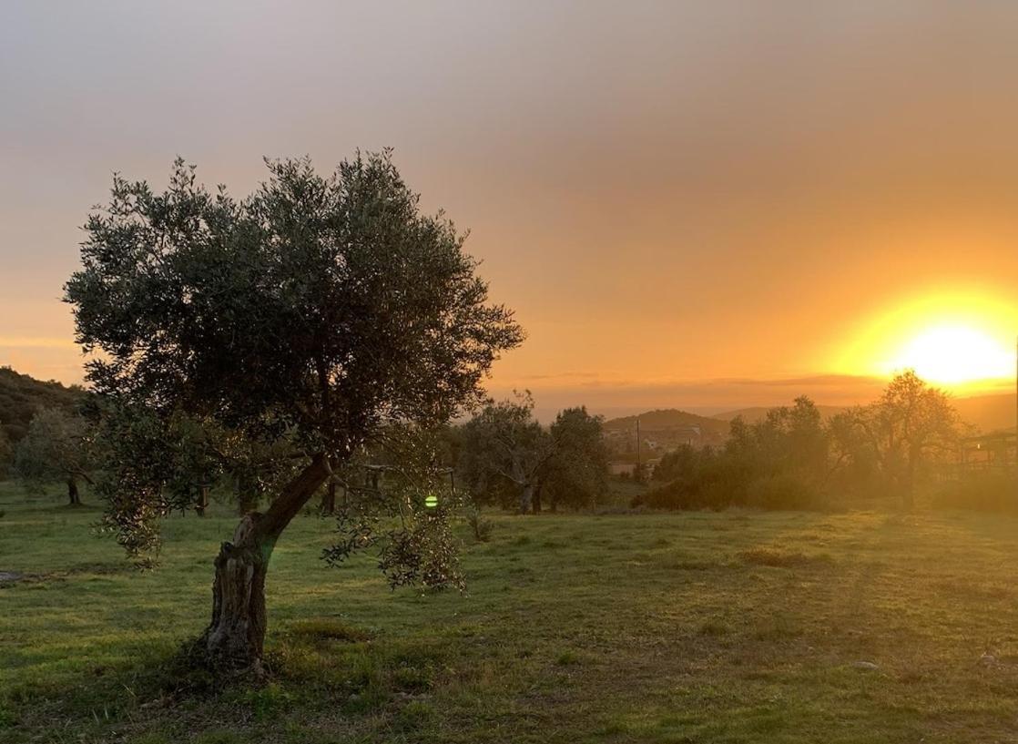 Agriturismo Poggio Falco Batignano 外观 照片